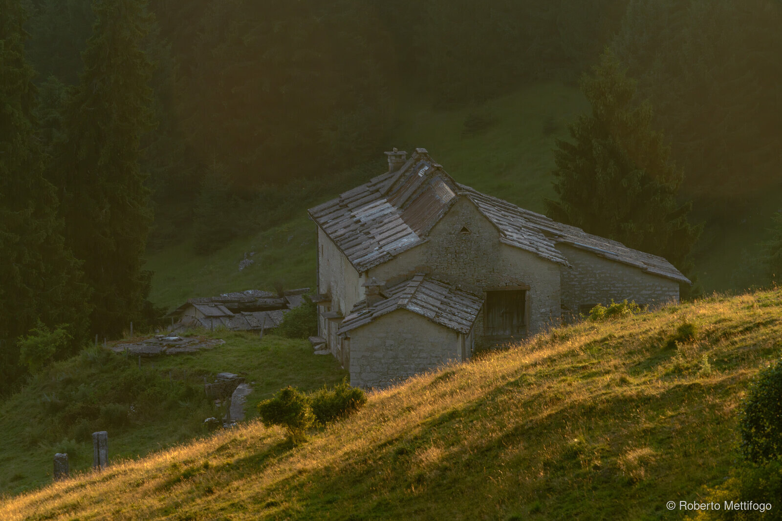 Paesaggio e wildlife della Lessinia e del Monte Baldo, Roberto Mettifogo Luce² · Verona (44)