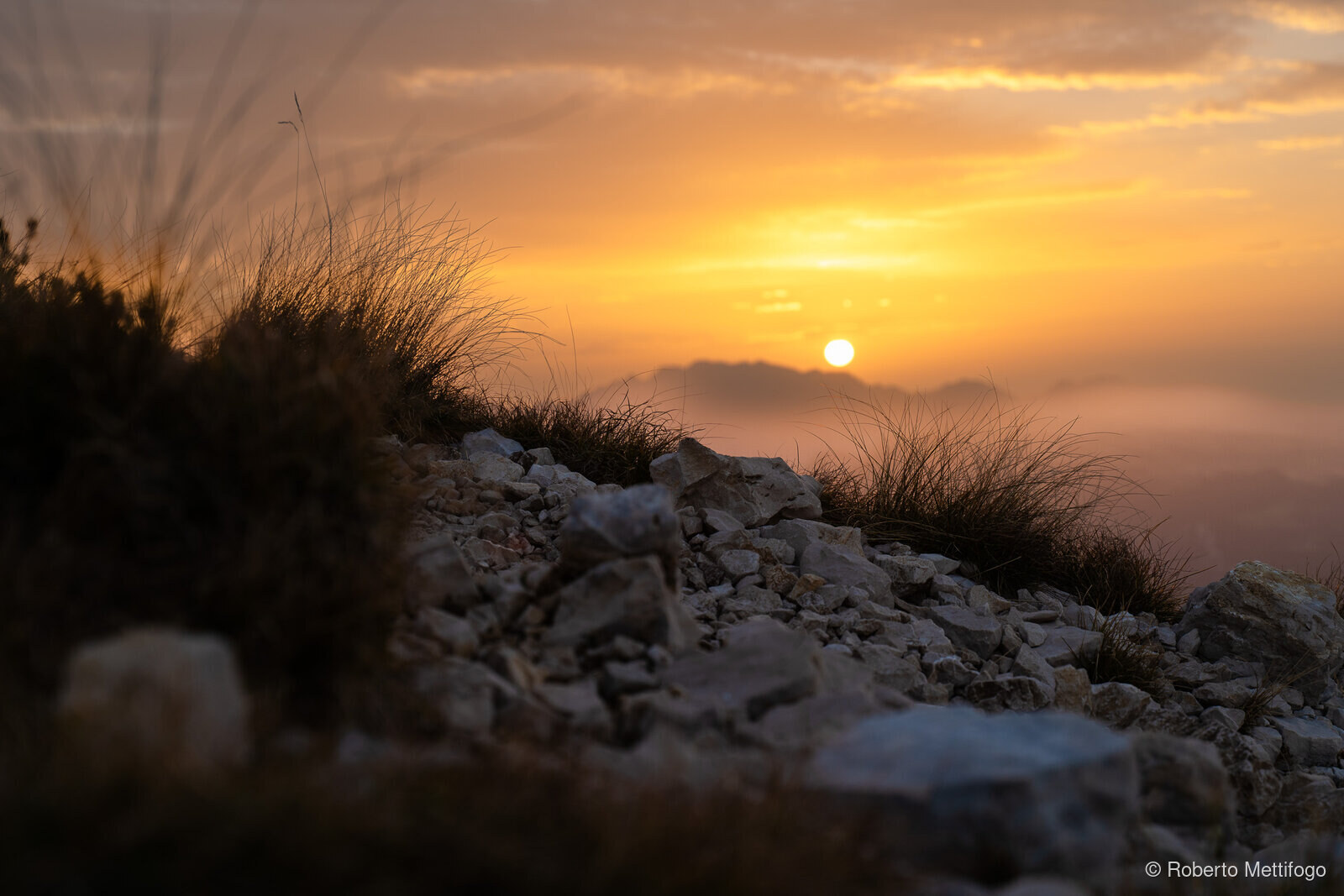 Paesaggio e wildlife della Lessinia e del Monte Baldo, Roberto Mettifogo Luce² · Verona (68)