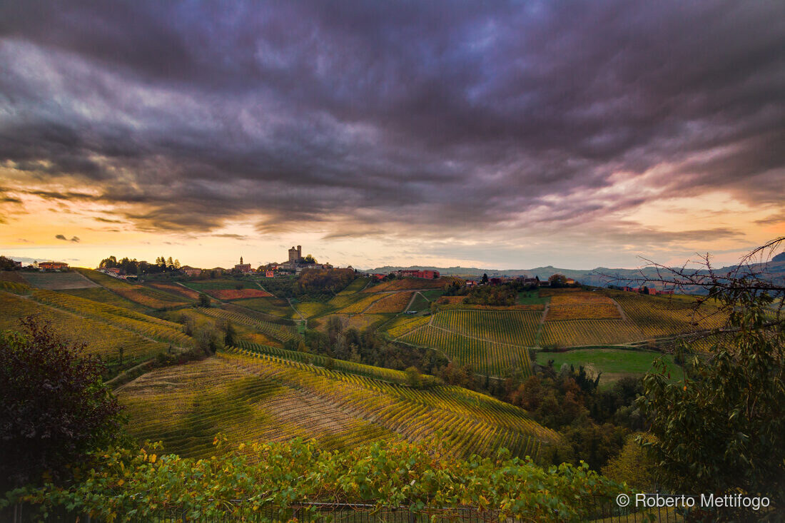 Fotografia del vino, vigneti e uva, Roberto Mettifogo Luce² · Nord Italia (02)