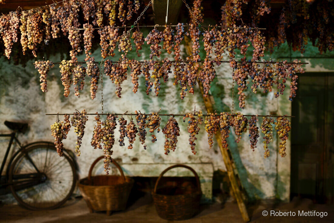 Fotografia del vino, vigneti e uva, Roberto Mettifogo Luce² · Nord Italia (13)