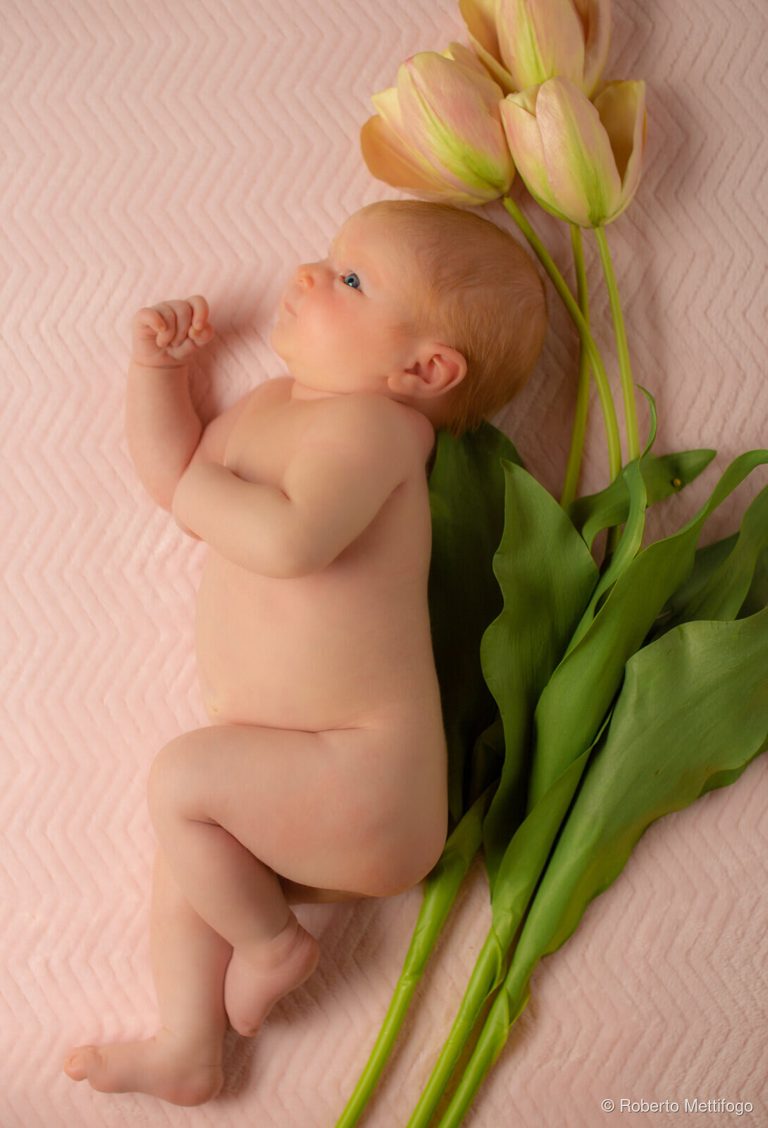 Servizio fotografico newborn a Verona